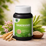 Shatavari Capsules – Ayurvedic Women’s Health Support