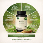 Punarnava Capsules – Natural Kidney & Detox Support