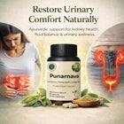 Punarnava Capsules – Natural Kidney & Detox Support