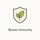 Moringa Capsules – Herbal Supplement for Daily Wellness